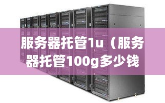 服务器托管1u（服务器托管100g多少钱）