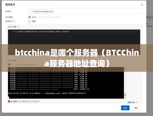 btcchina是哪个服务器（BTCChina服务器地址查询）