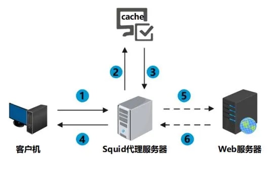 服务器系统怎么使用（服务器系统操作指南）