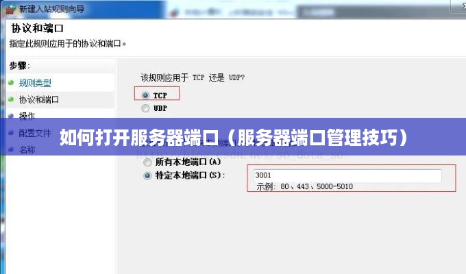 如何打开服务器端口（服务器端口管理技巧）