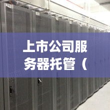 上市公司服务器托管（上市公司托管是什么意思）