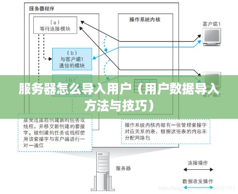 服务器怎么导入用户（用户数据导入方法与技巧）