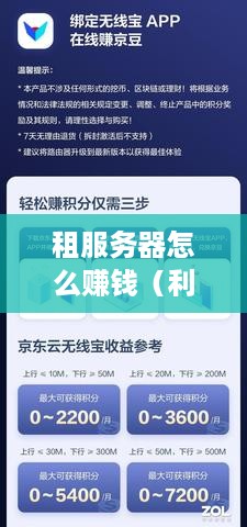 租服务器怎么赚钱（利用服务器搭建网络服务盈利方法）