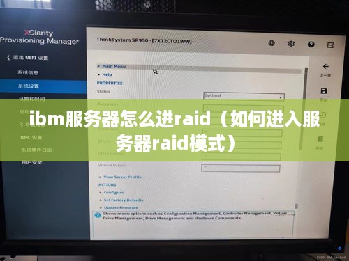 ibm服务器怎么进raid（如何进入服务器raid模式）