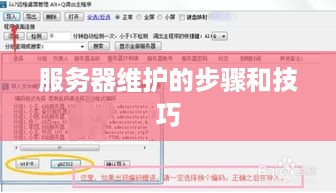 服务器维护的步骤和技巧