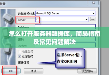 怎么打开服务器数据库，简易指南及常见问题解决