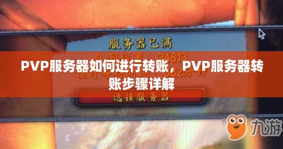 PVP服务器如何进行转账，PVP服务器转账步骤详解