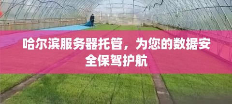 哈尔滨服务器托管，为您的数据安全保驾护航