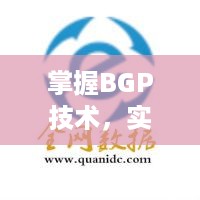 掌握BGP技术，实现高效服务器托管