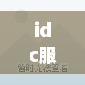 idc服务器托管费用，全面解析与选择建议