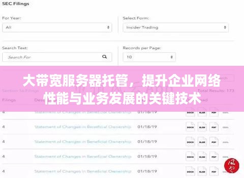 大带宽服务器托管，提升企业网络性能与业务发展的关键技术