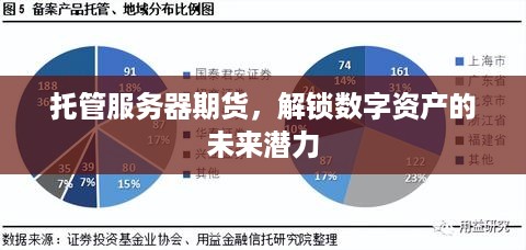 托管服务器期货，解锁数字资产的未来潜力