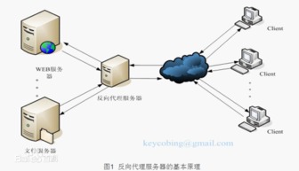 Title: 服务器托管与管理，优化您的业务运营与技术成功