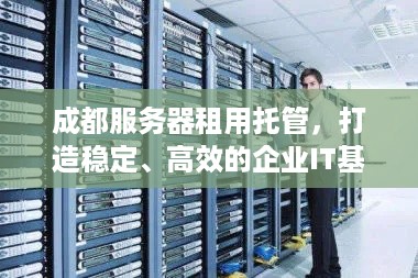 成都服务器租用托管，打造稳定、高效的企业IT基础设施