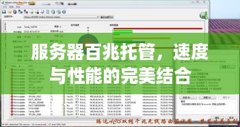 服务器百兆托管，速度与性能的完美结合