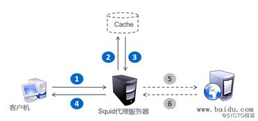 服务器托管代理，您的可靠网络解决方案