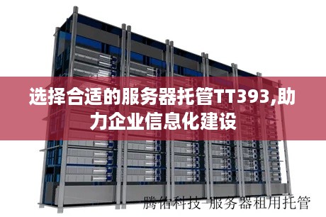 选择合适的服务器托管TT393,助力企业信息化建设