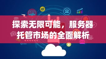 探索无限可能，服务器托管市场的全面解析