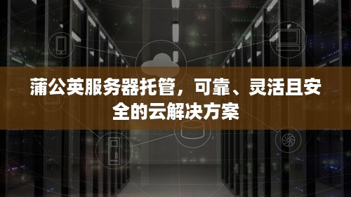 蒲公英服务器托管，可靠、灵活且安全的云解决方案