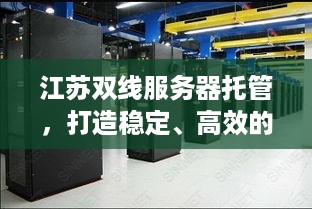 江苏双线服务器托管，打造稳定、高效的云计算环境