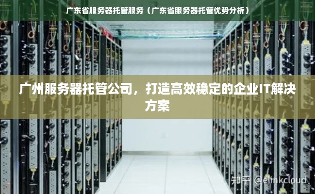 广州服务器托管公司，打造高效稳定的企业IT解决方案