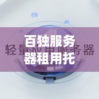 百独服务器租用托管，为您的业务提供稳定、安全的云端解决方案