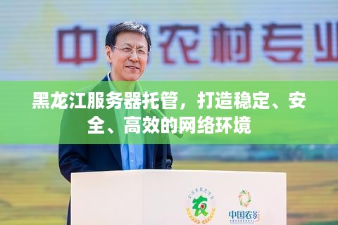 黑龙江服务器托管，打造稳定、安全、高效的网络环境