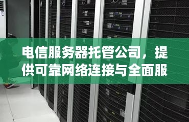 电信服务器托管公司，提供可靠网络连接与全面服务的全方位解决方案