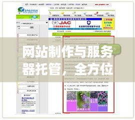 网站制作与服务器托管，全方位解析与实践指南