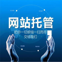 网站制作与服务器托管，全方位解析与实践指南