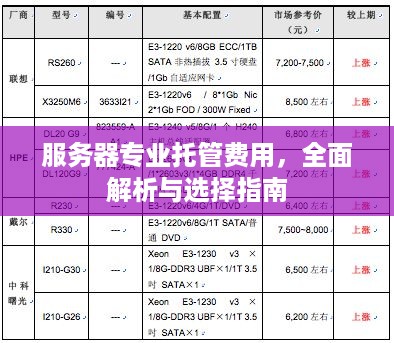 服务器专业托管费用，全面解析与选择指南