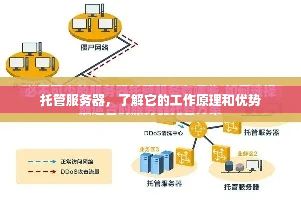 托管服务器，了解它的工作原理和优势