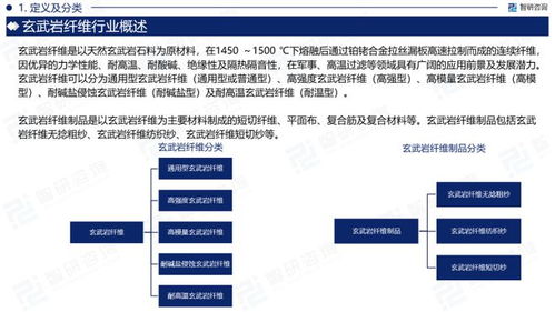 探索全球市场，深度解析海外服务器托管行业