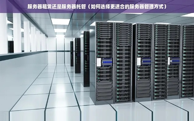 租服务器还是托管好？——探讨企业IT基础设施建设的两种选择