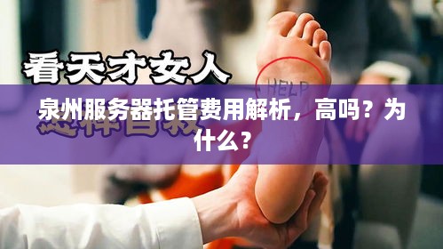 泉州服务器托管费用解析，高吗？为什么？