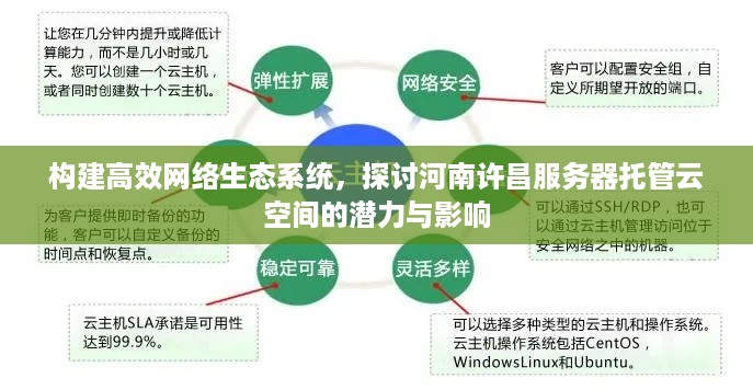 构建高效网络生态系统，探讨河南许昌服务器托管云空间的潜力与影响