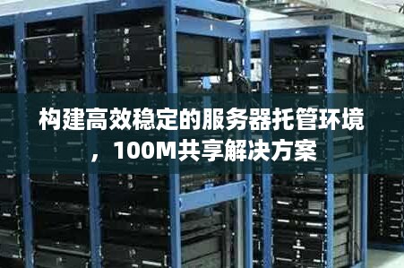 构建高效稳定的服务器托管环境，100M共享解决方案