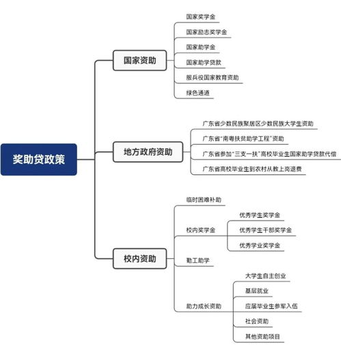 福建省服务器托管政策解析与实施指南