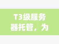 T3级服务器托管，为您的数据和应用保驾护航