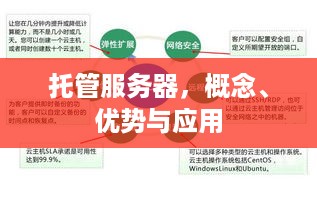 托管服务器，概念、优势与应用