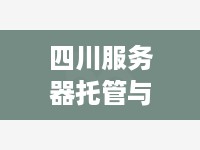 四川服务器托管与租用，选择合适方案提升企业运营效率