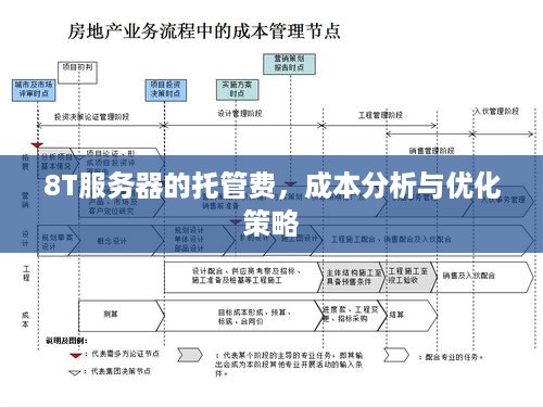 8T服务器的托管费，成本分析与优化策略