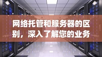 网络托管和服务器的区别，深入了解您的业务需求下的完美解决方案