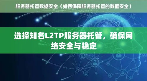 选择知名L2TP服务器托管，确保网络安全与稳定