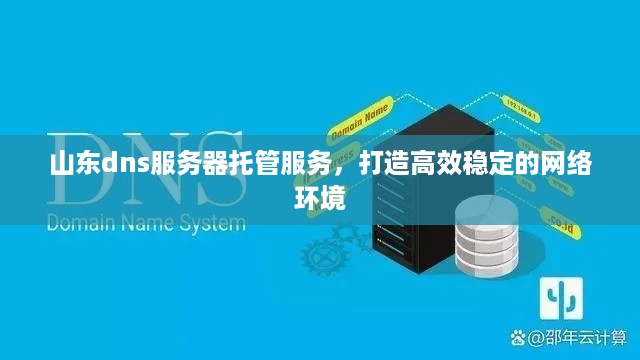 山东dns服务器托管服务，打造高效稳定的网络环境