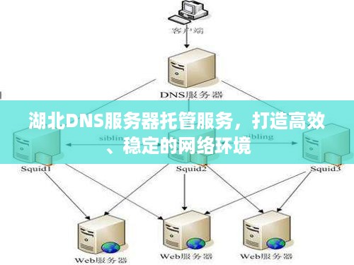 湖北DNS服务器托管服务，打造高效、稳定的网络环境