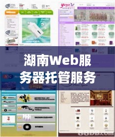 湖南Web服务器托管服务，让您的网站无忧运行