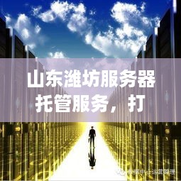 山东潍坊服务器托管服务，打造可靠、高效的云计算解决方案