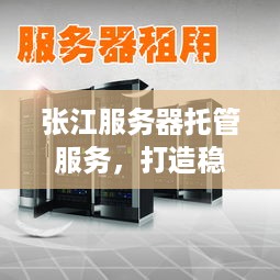 张江服务器托管服务，打造稳定、安全、高效的云端解决方案