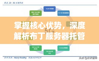 掌握核心优势，深度解析布丁服务器托管服务